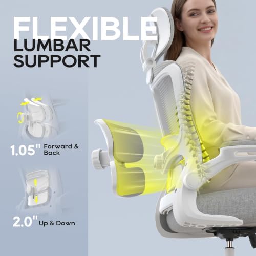 Ergonomic Office Chair for Long Hours, Adjustable Padded Lumbar Support for Lower Back Relief, 330 lb Capacity, Comfortable Computer Desk Chair for Home Office, Work & Study