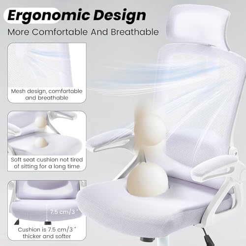 Fizzin Office Chair Mesh Computer Chairs with Adjustable Lumbar Support