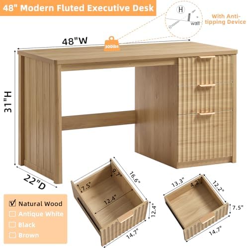 LEYAOYAO Office Desk 48" with 3 Drawers Storage File Cabinet