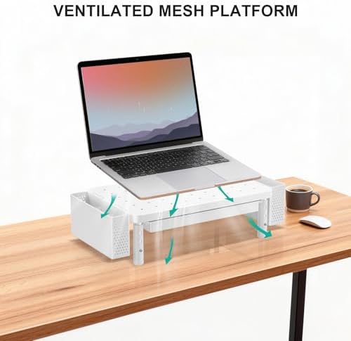WALI Computer Monitor Stand with Storage and Pen Holder