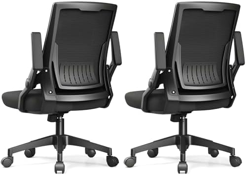 GTPLAYER Ergonomic Office Chair with Flip-up Armrests Executive Computer Chair for Home Office, Breathable Mesh & Comfy Lumbar Support, Pack of 2, Black