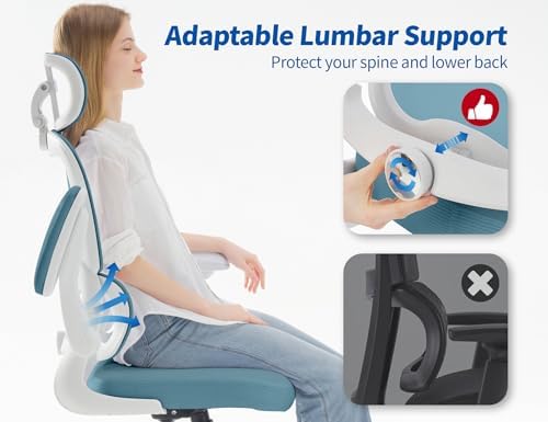 TRALT Ergonomic Office Chair Desk Chair with Adjustable Lumbar Support