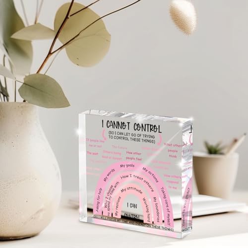 Mental Health I Can Control Decor, 4x4 Inch Pink Acrylic, Women's Therapy Office Sign, Girls Dorm Essentials, Motivational Room Decor and Gift