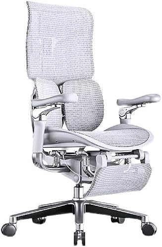 VIDI Ergonomic Chair Net, Executive Home Office, with Waist Support, Backrest