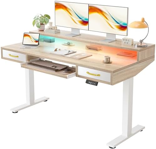 TIQLAB Standing Desk with Two Drawers, Stand Up Standing Desk Adjustable Height, Electric Sit Stand Table with Storage Shelf and Splice Board, with LED Light, 55 * 28 inch, Maple