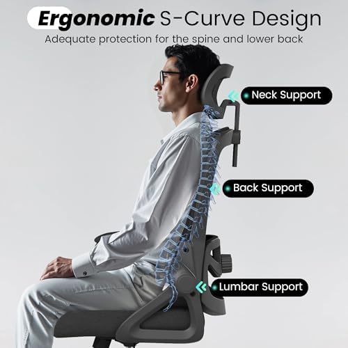 Fizzin Office Chair Mesh Computer Chairs with Adjustable Lumbar Support