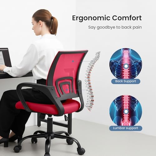 OLIXIS Ergonomic Office Chair 2 Pack, Home Desk Mesh Chairs, Lumbar Support