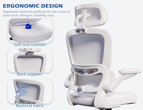 TRALT Ergonomic Office Chair Desk Chair with Adjustable Lumbar Support