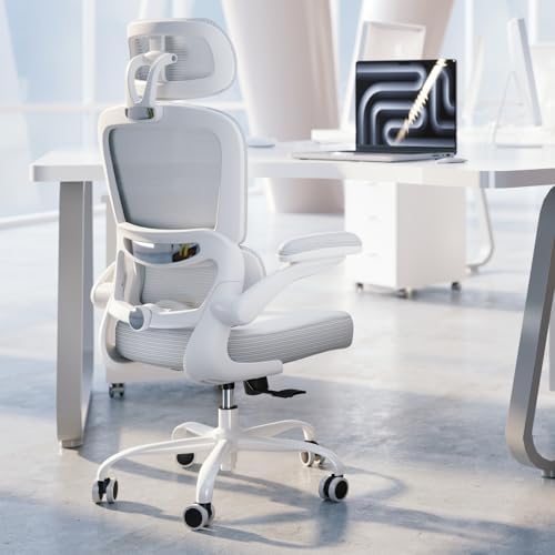 TRALT Ergonomic Office Chair Desk Chair with Adjustable Lumbar Support