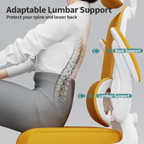 TRALT Office Chair Ergonomic Desk Chair - Gaming Chair with Lumbar Support