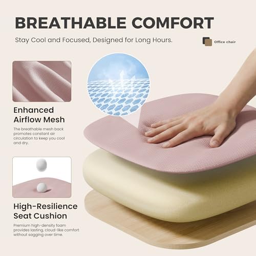 OLIXIS Ergonomic Office Chair 2 Pack, Home Desk Mesh Chairs, Lumbar Support