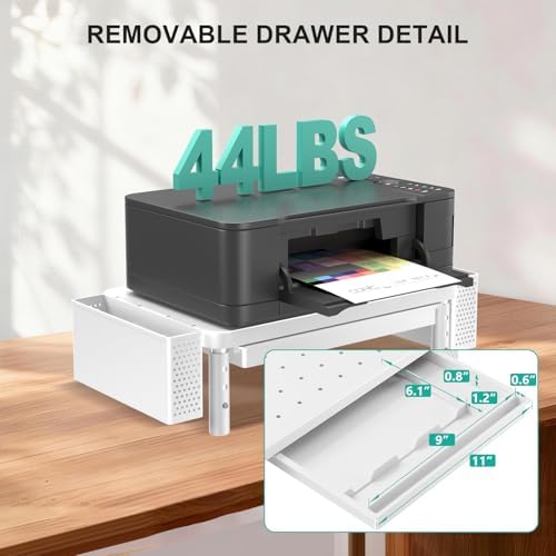 WALI Computer Monitor Stand with Storage and Pen Holder