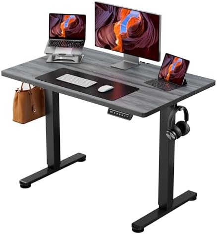 ErGear Height Adjustable Electric Standing Desk, 44 x 24 Inches Sit Stand up Desk, Memory Computer Home Office Desk, Grey