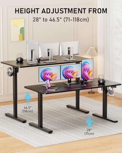 55" Large Electric Standing Desk Adjustable Height for Home Office