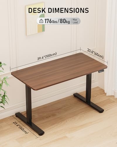 40" Small Electric Standing Desk Adjustable Height for Home Office