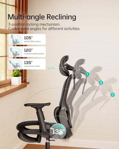 Hbada P2 Ergonomic Office Chair, Office Chair with 3D Lumbar Support, Ergonomic Chair with 3D 360° Rotation Arms & 3D Headrest, 135° Stepless Tilt Function, Black