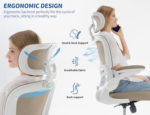 TRALT Ergonomic Office Chair Desk Chair with Adjustable Lumbar Support