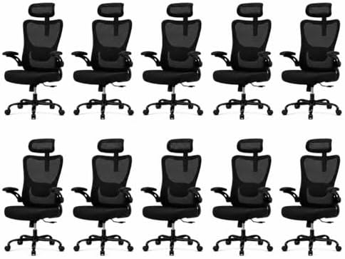 HUANUO Ergonomic Office Chair, High Back Computer Desk Chair with Adjustable Lumbar Support and Headrest, Comfy Gaming Chair with 3D Armrests, Home Office Rolling Chair, Max Load 300 lbs, Pack of 10