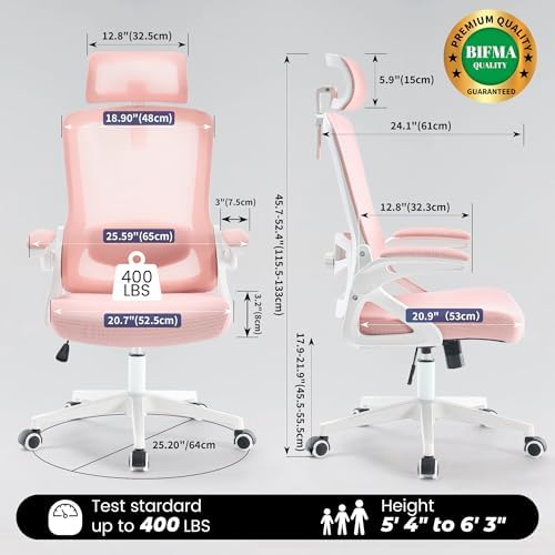 Fizzin Office Chair Mesh Computer Chairs with Adjustable Lumbar Support