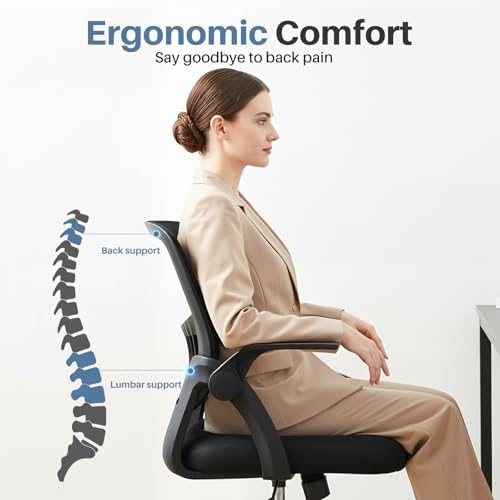 DUMOS Home Office Desk Chair, Computer Lumbar Support Chair