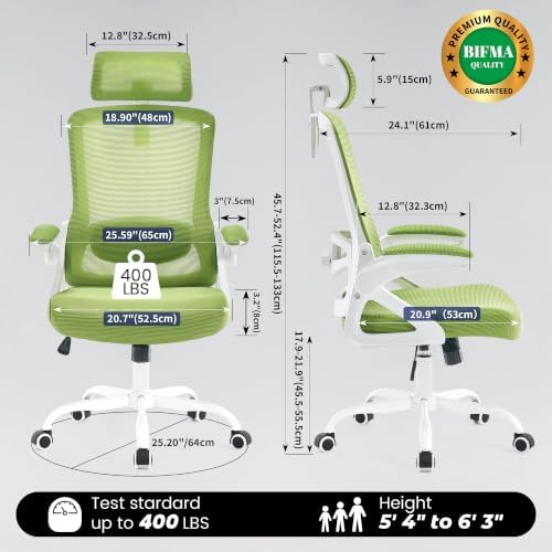 Fizzin Office Chair Mesh Computer Chairs with Adjustable Lumbar Support