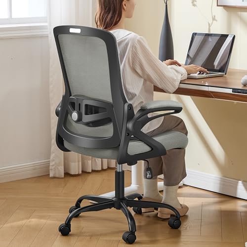 Ergonomic Office Chair Desk Chair with Adjustable Lumbar Support