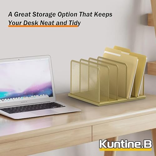 Kuntine.B 5-Section Upright Desk File Organizer Gold 1 Pack
