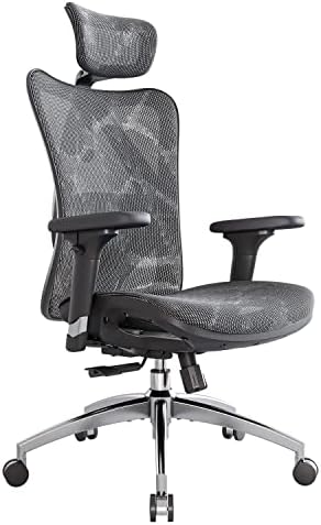 SIHOO M57 Ergonomic Office Chair, Mesh Back Desk Chair with 3D Armrests