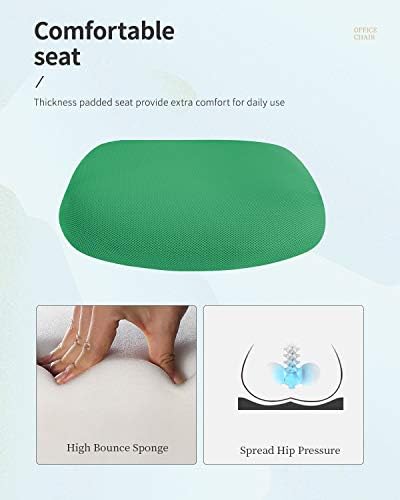 FDW | Mid Back Office Chair | Green | with Lumbar Support, 360 Swivel