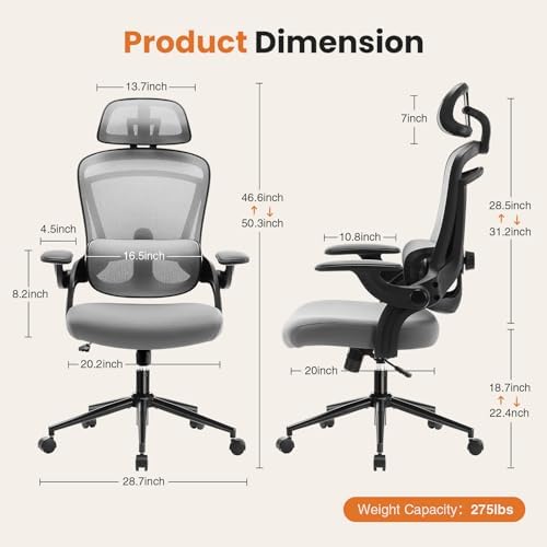 DUMOS Executive Home Office Chair, Ergonomic Computer Desk Chair, Mesh