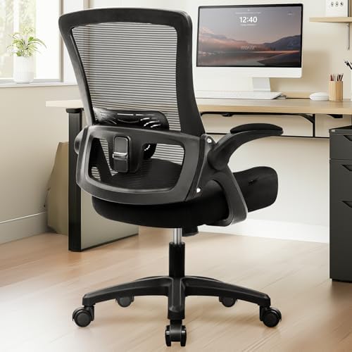 NEO CHAIR Office Desk Chair High Back Mesh Chair Adjustable Lumbar, Black