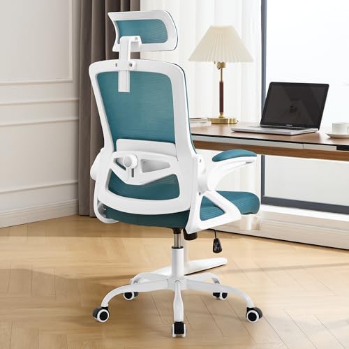 Fizzin Office Chair Mesh Computer Chairs with Adjustable Lumbar Support