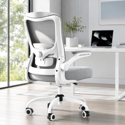 Ergonomic Office Chair for Long Hours, Padded Lumbar Support for Lower Back Relief, 330 lb Capacity, Comfortable Computer Desk Chair for Home Office, Computer & Study (Modern, Light Gray)
