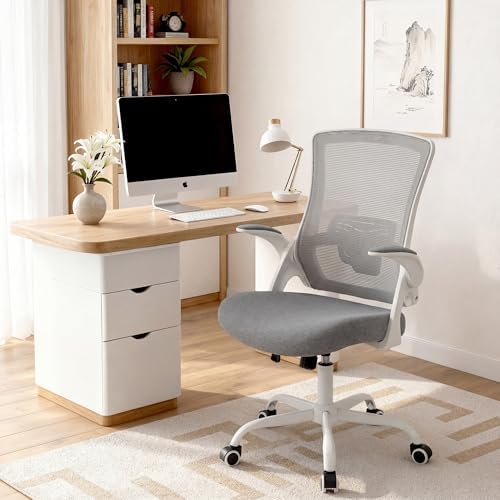 NEO CHAIR Office Desk Mesh Chair with Adjustable Ergonomic Lumbar, Grey