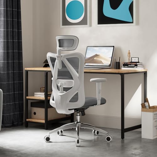 SIHOO M18 Ergonomic Office Chair, Mesh Back Desk Chair with Headrest