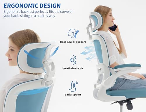 TRALT Ergonomic Office Chair Desk Chair with Adjustable Lumbar Support