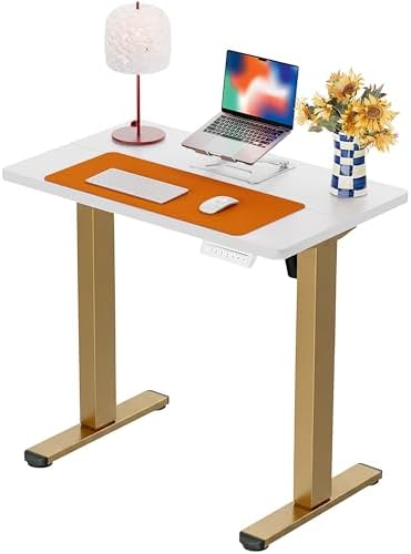 ErGear Height Adjustable Electric Standing Desk, 32 x 19 Inches Sit Stand up Desk, Memory Computer Home Office Desk, White+Gold
