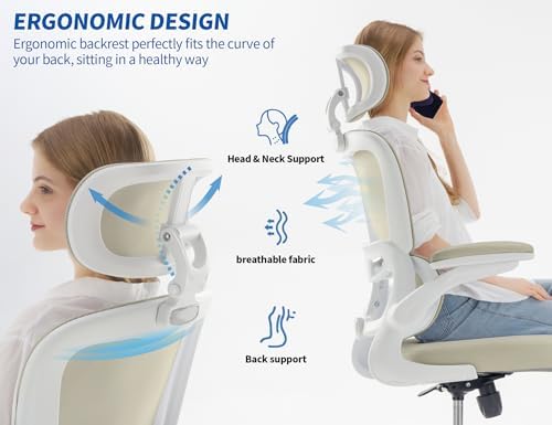 TRALT Ergonomic Office Chair Desk Chair with Adjustable Lumbar Support