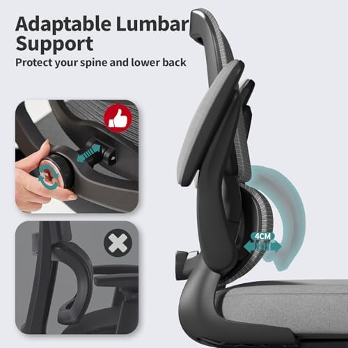 TRALT Office Chair - Ergonomic Desk Chair with Adjustable Lumbar Support, Mesh Computer Chair, Executive Chair for Home Office Comfortable Lumbar Support (1, Fog Gray)