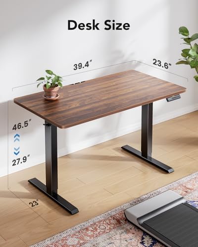HUANUO 40x24 Inch Electric Standing Desk, Height Adjustable, Black Walnut