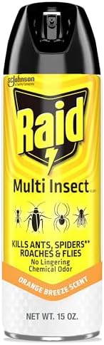 Raid Multi Insect Killer Bug Spray, Orange Breeze, 15 oz
