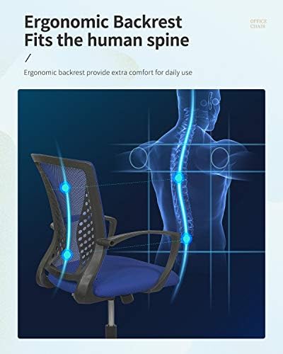 FDW | Mid Back Office Chair | Blue | with Lumbar Support, 360 Swivel