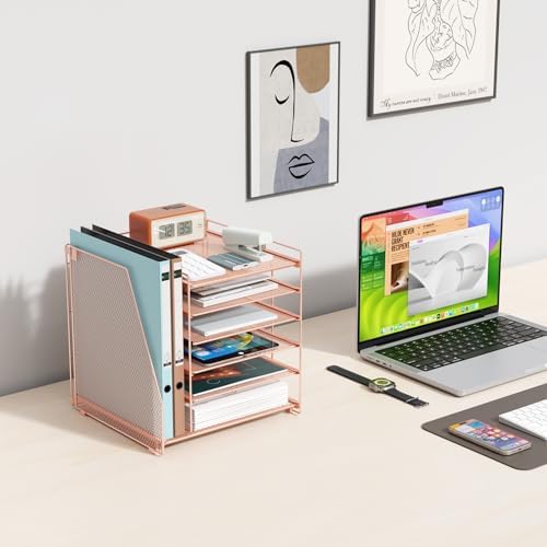 gianotter 6-Tier Paper Organizer With Magazine Holder (Rose Gold, 6-Tier)