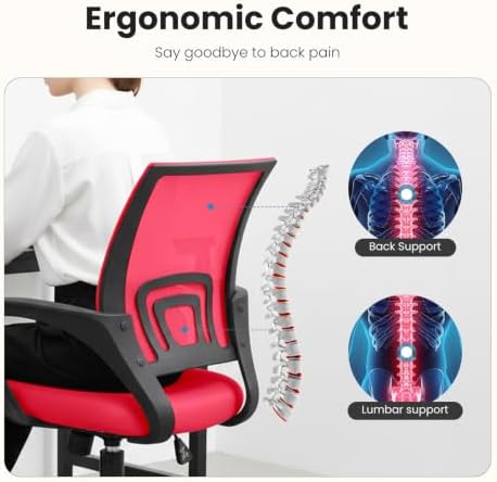 DUMOS Ergonomic Office Chair, Mid-Back Executive Desk Chair 2 Pack