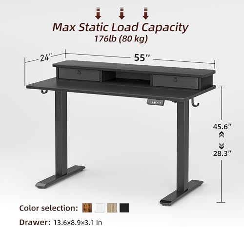 TIQLAB Standing Desk with Two Drawers, Stand Up Standing Desk Adjustable Height, Electric Sit Stand Table with Storage Shelf and Splice Board, 48 * 24 inch, Black