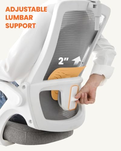 NEO CHAIR Office Chair with Adjustable Ergonomic Lumbar Headrest, Grey