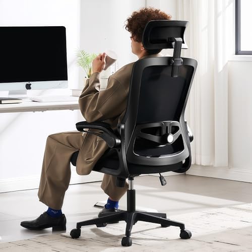 Fizzin Office Chair Mesh Computer Chairs with Adjustable Lumbar Support