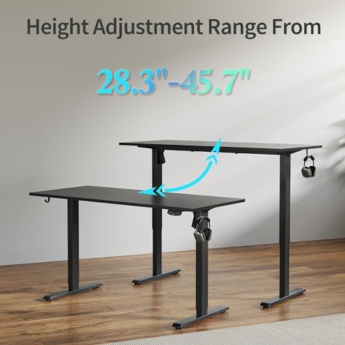Agilestic 48 * 24 Inch Height Adjustable Electric Standing Desk, Black