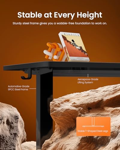 ErGear Height Adjustable Electric Standing Desk, 48 x 24 Inches Sit Stand up Desk, Memory Computer Home Office Desk, Carbon Fiber Black