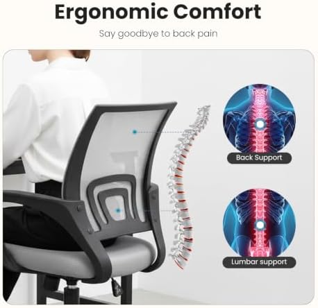 DUMOS Ergonomic Office Chair, Executive Desk Chair with Lumbar Support